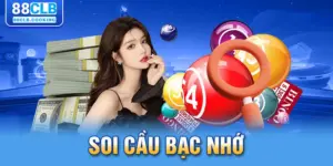 1-soi-cau-bac-nho