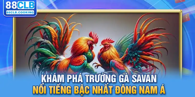 Khám phá trường gà Savan nổi tiếng bậc nhất Đông Nam Á