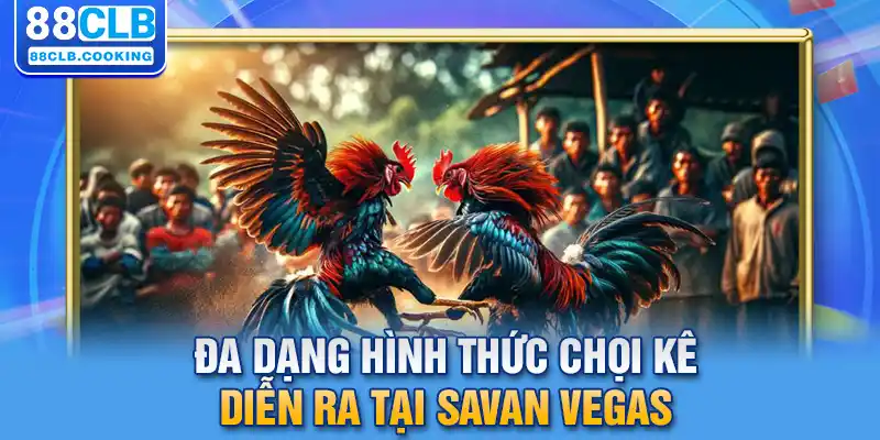 Đa dạng hình thức chọi kê diễn ra tại Savan Vegas