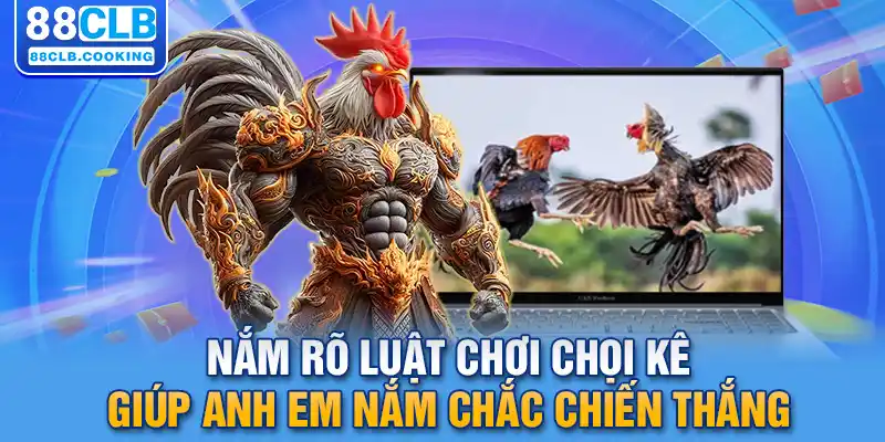 Nắm rõ luật chơi chọi kê giúp anh em nắm chắc chiến thắng